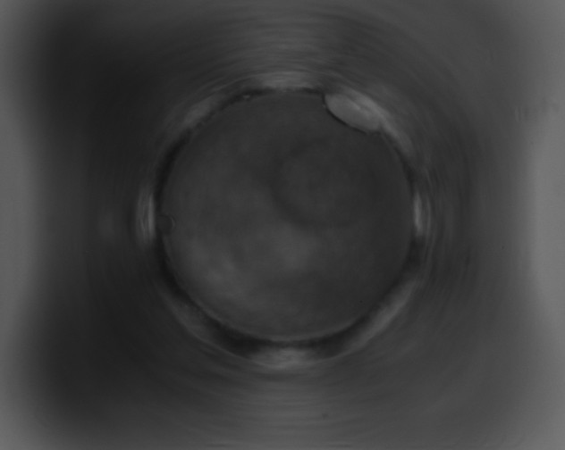 X0000100420205200806061410