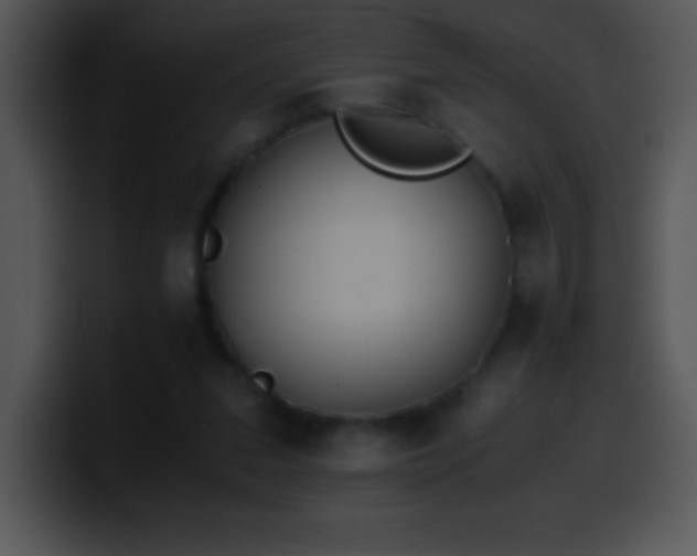 X0000100420207200806061410