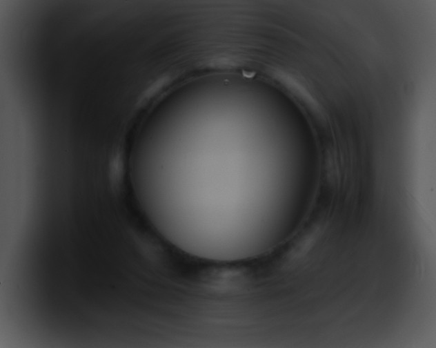 X0000100420208200806061410