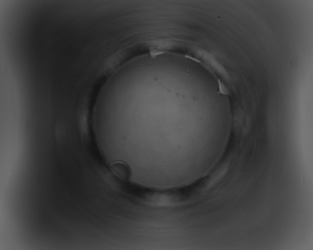 X0000100420209200806061410