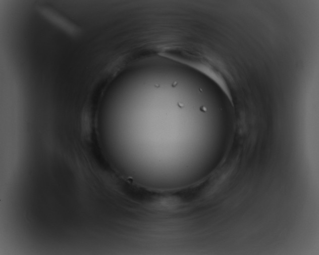 X0000100420210200806061410