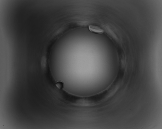 X0000100420211200806061410