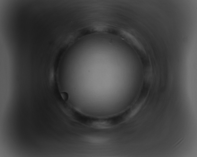 X0000100420213200806061410
