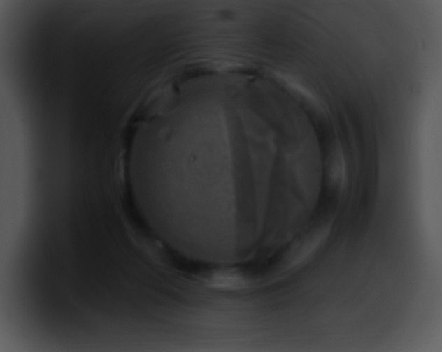 X0000100420214200806061410