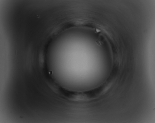 X0000100420215200806061410