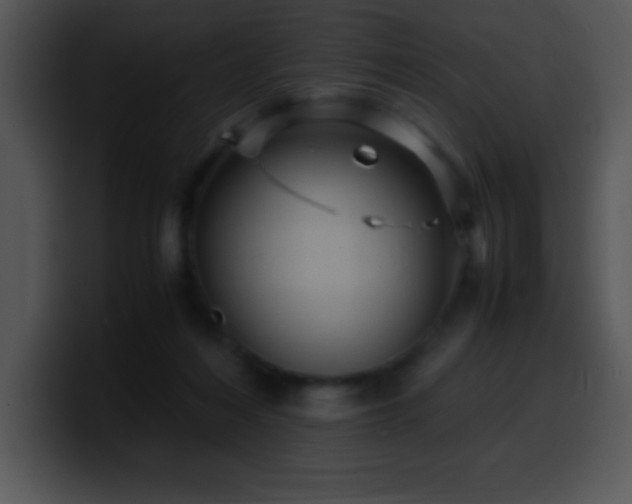 X0000100420216200806061410
