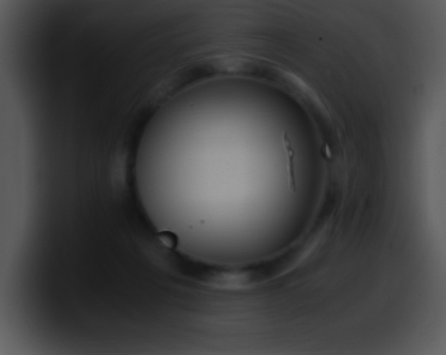 X0000100420217200806061410
