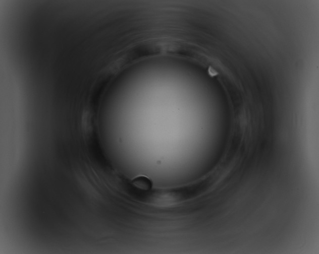 X0000100420218200806061410