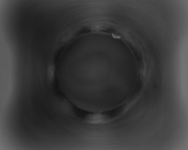X0000100420219200806061410