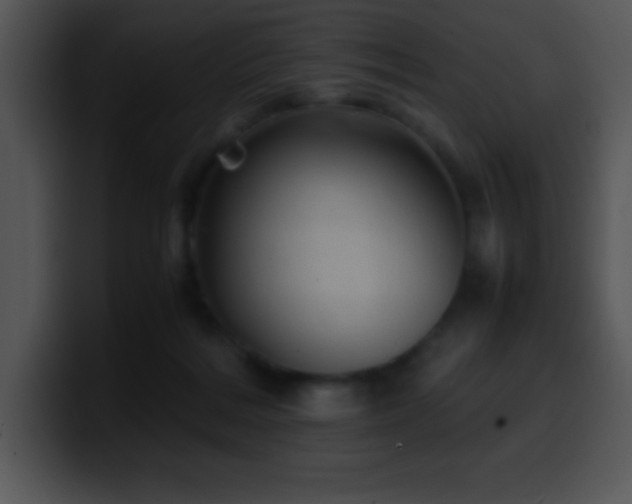 X0000100420220200806061410
