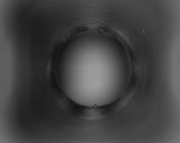 X0000100420221200806061410