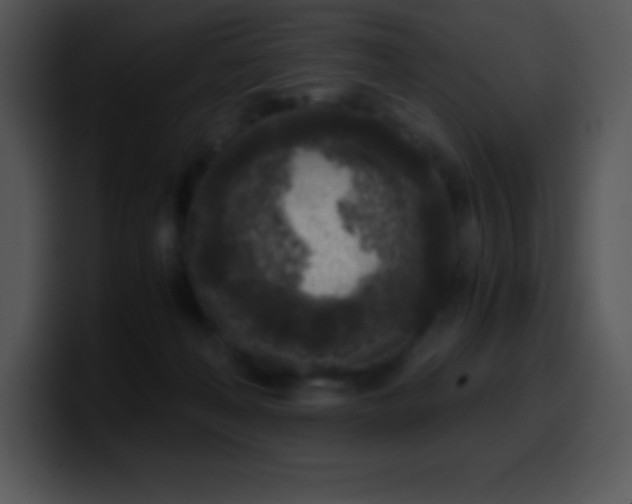 X0000100420222200806061410