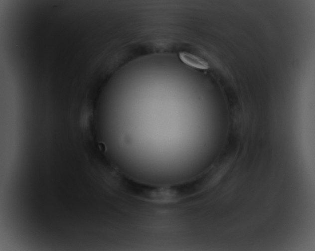 X0000100420225200806061410