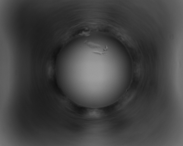 X0000100420226200806061410