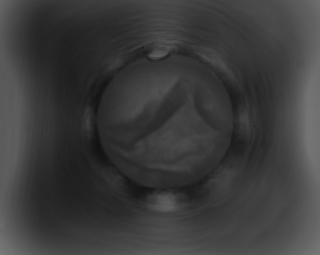X0000100420228200806061410