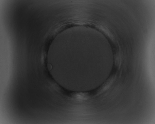 X0000100420229200806061410