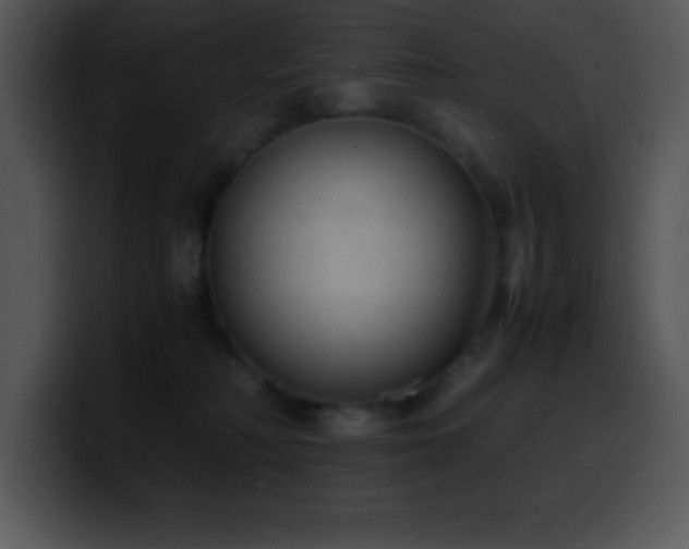 X0000100420230200806061410