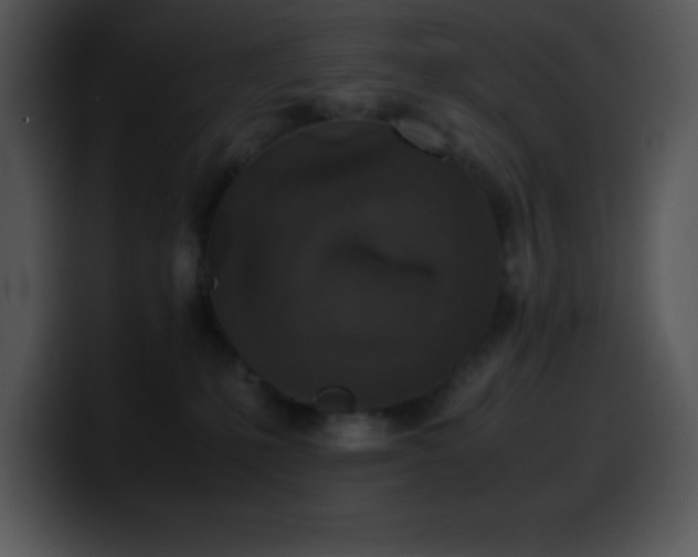 X0000100420231200806061410