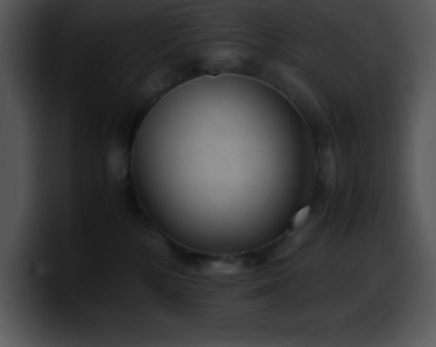 X0000100420232200806061410