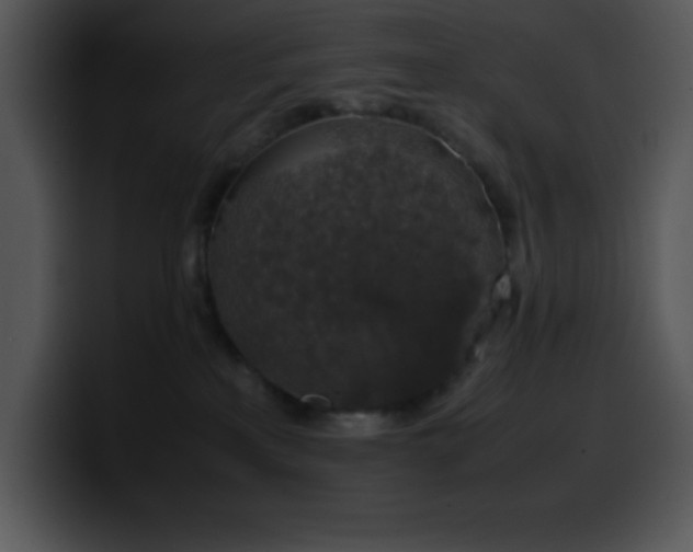X0000100420233200806061410