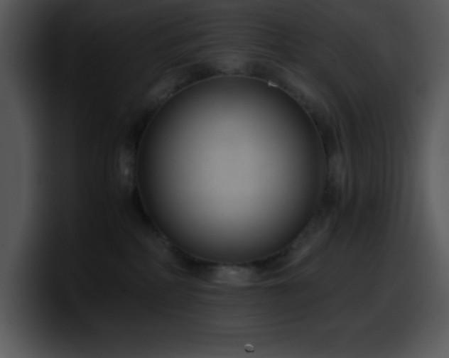 X0000100420234200806061410