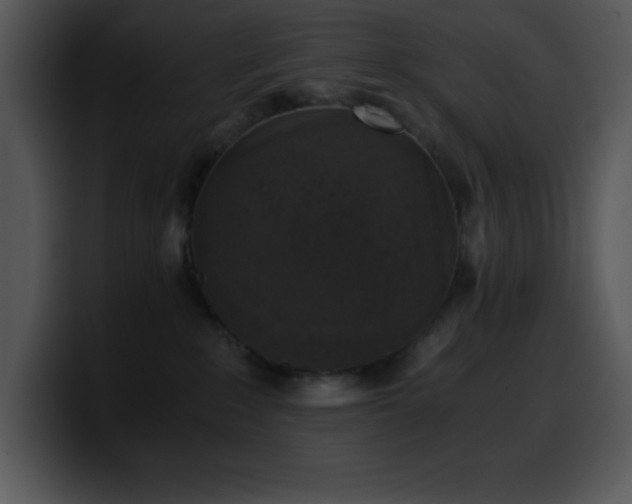 X0000100420235200806061410