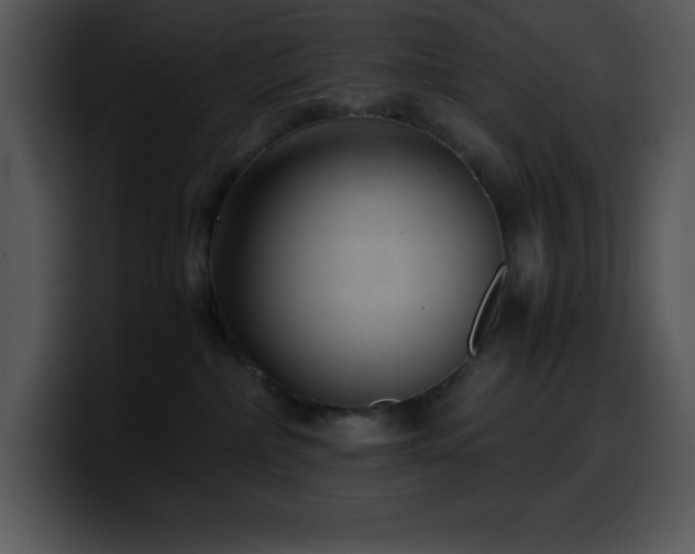 X0000100420236200806061410