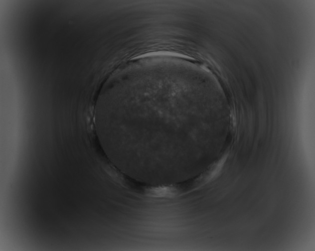 X0000100420237200806061410