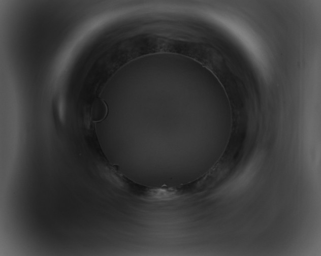 X0000100420239200806061410
