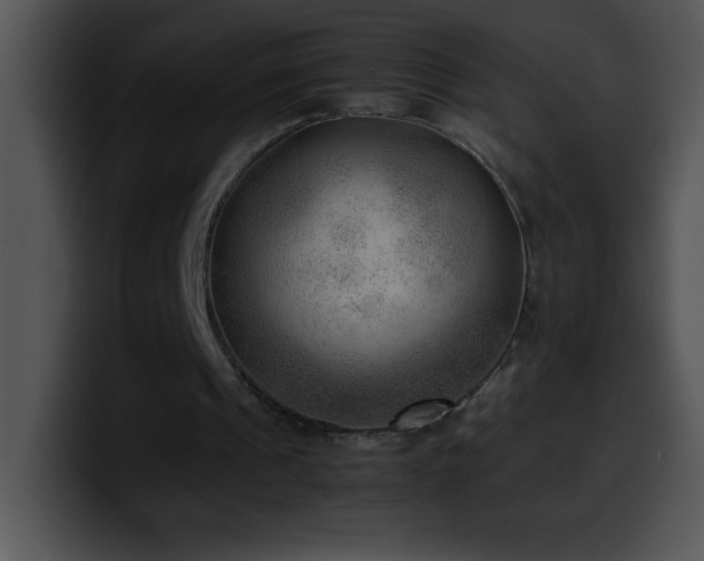 X0000100420241200806061409