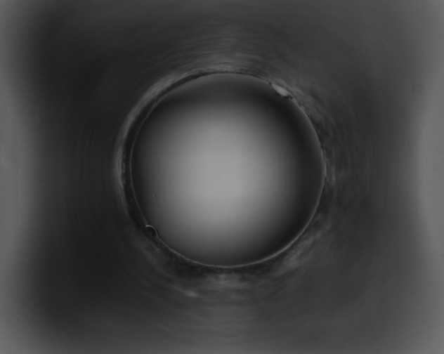 X0000100420244200806061409