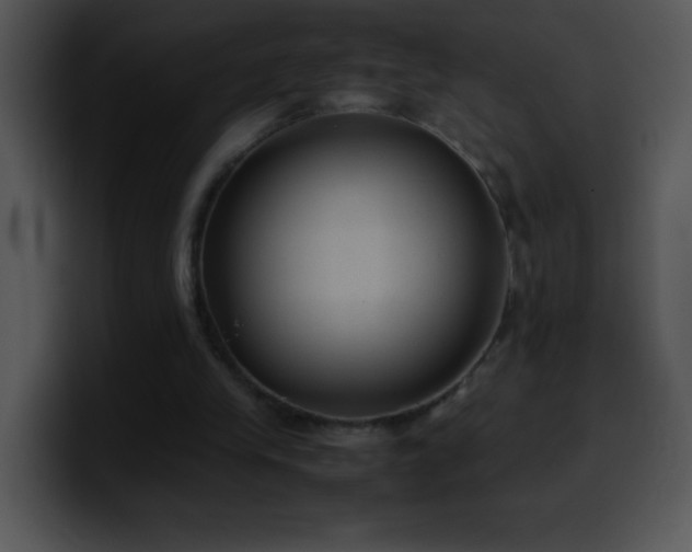 X0000100420245200806061409