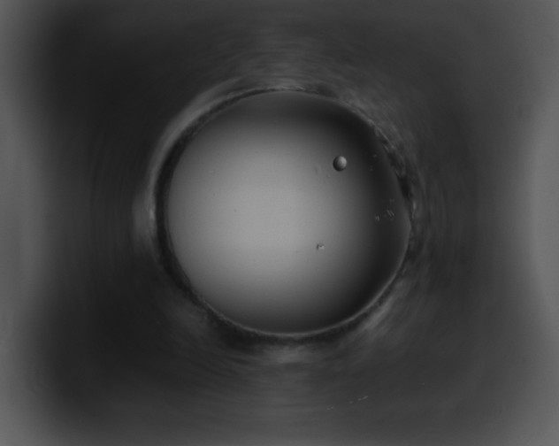 X0000100420246200806061409