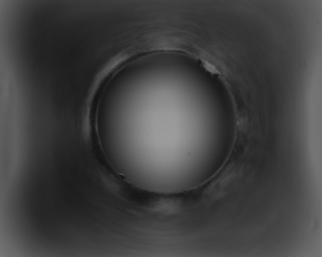 X0000100420248200806061409