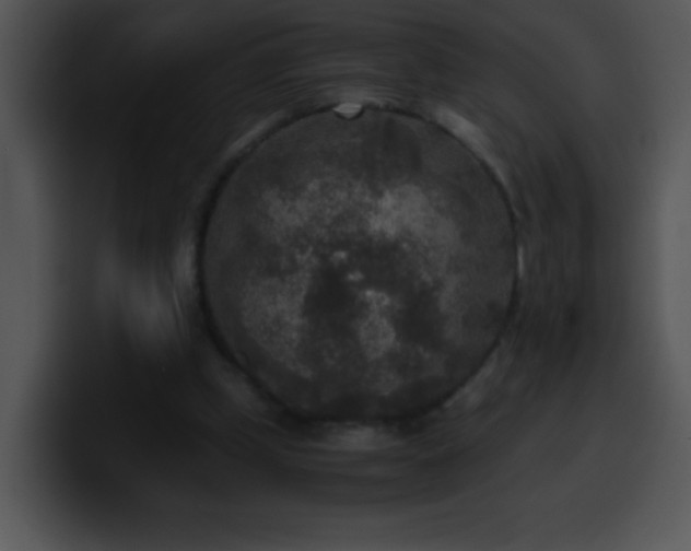 X0000100420249200806061409