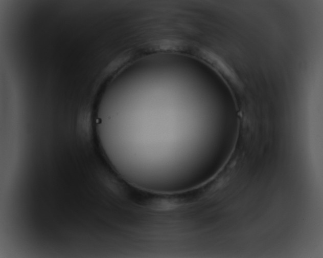 X0000100420250200806061409