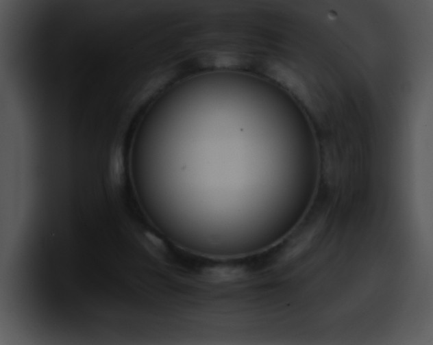 X0000100420251200806061409