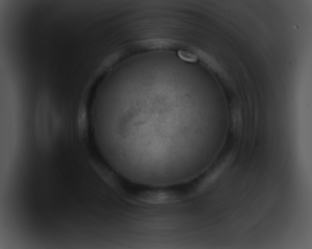 X0000100420254200806061409
