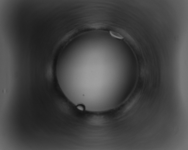 X0000100420256200806061409