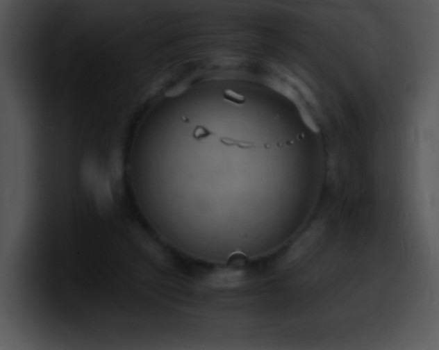 X0000100420257200806061409