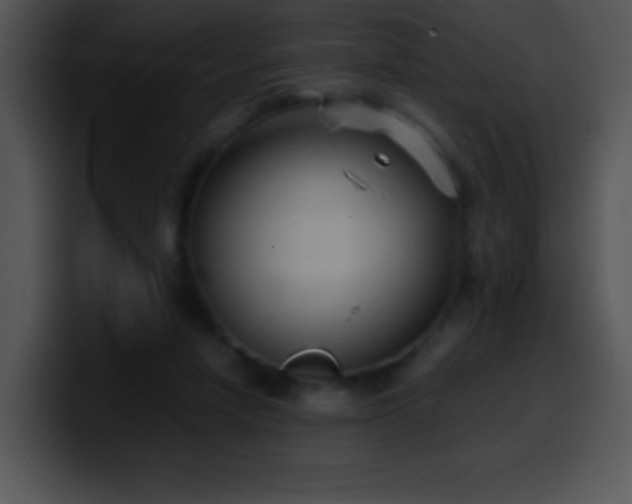 X0000100420258200806061409