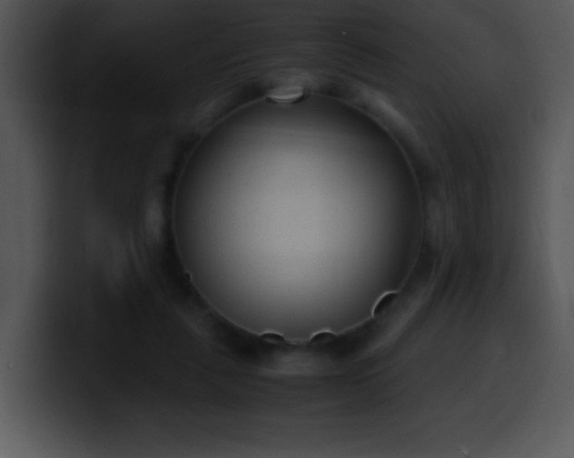 X0000100420259200806061409