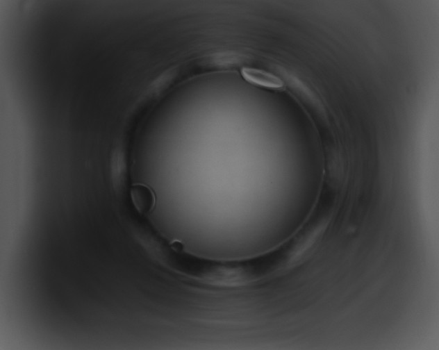 X0000100420260200806061409