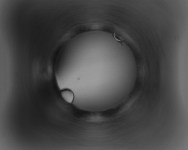X0000100420262200806061409