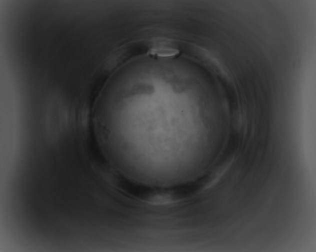 X0000100420263200806061409