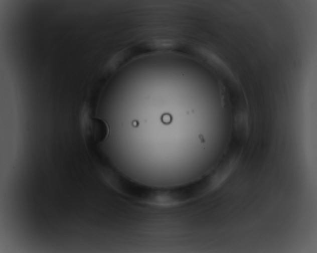 X0000100420264200806061409