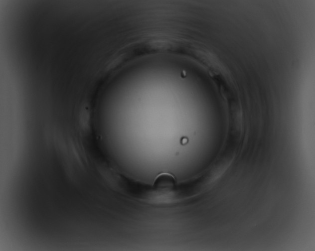 X0000100420266200806061409