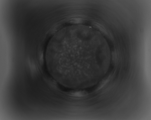 X0000100420267200806061409