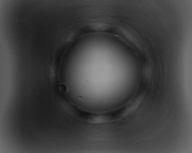 X0000100420268200806061409