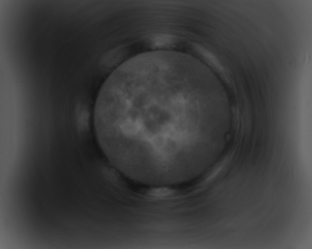 X0000100420269200806061409
